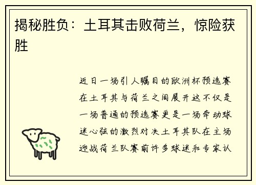 揭秘胜负：土耳其击败荷兰，惊险获胜