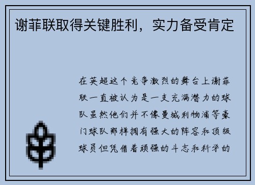 谢菲联取得关键胜利，实力备受肯定