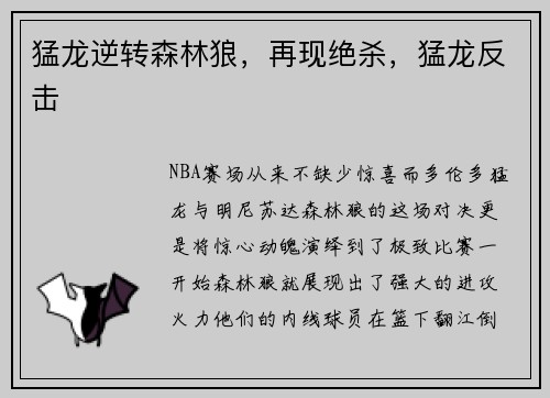 猛龙逆转森林狼，再现绝杀，猛龙反击