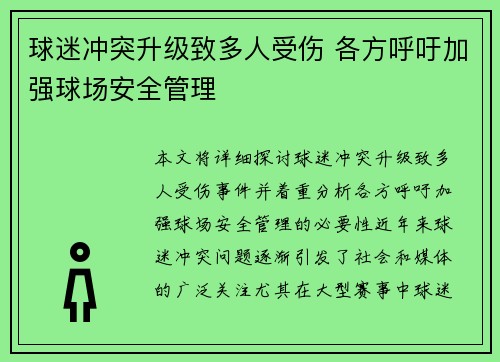 球迷冲突升级致多人受伤 各方呼吁加强球场安全管理